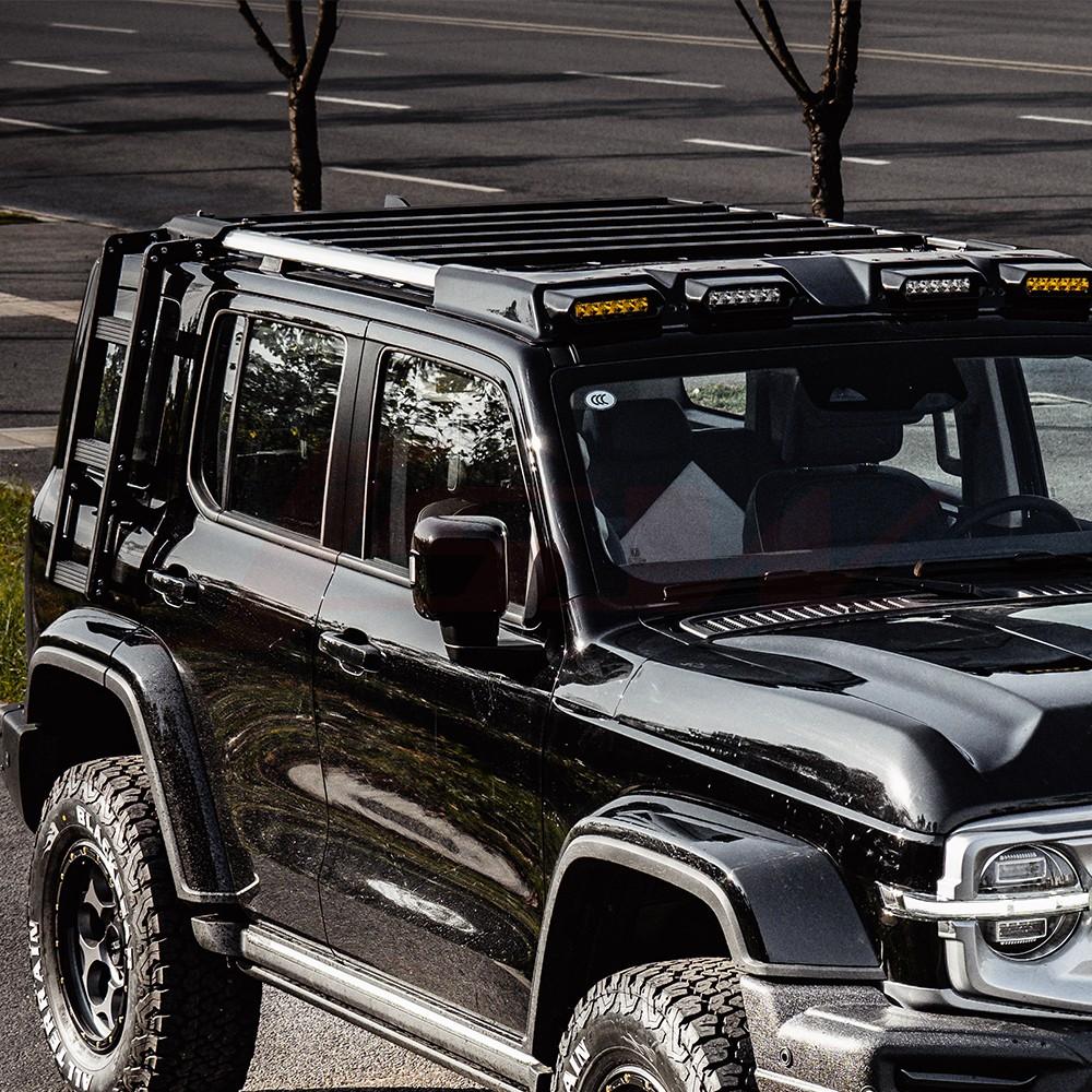 Sentinel roof rack&side ladder