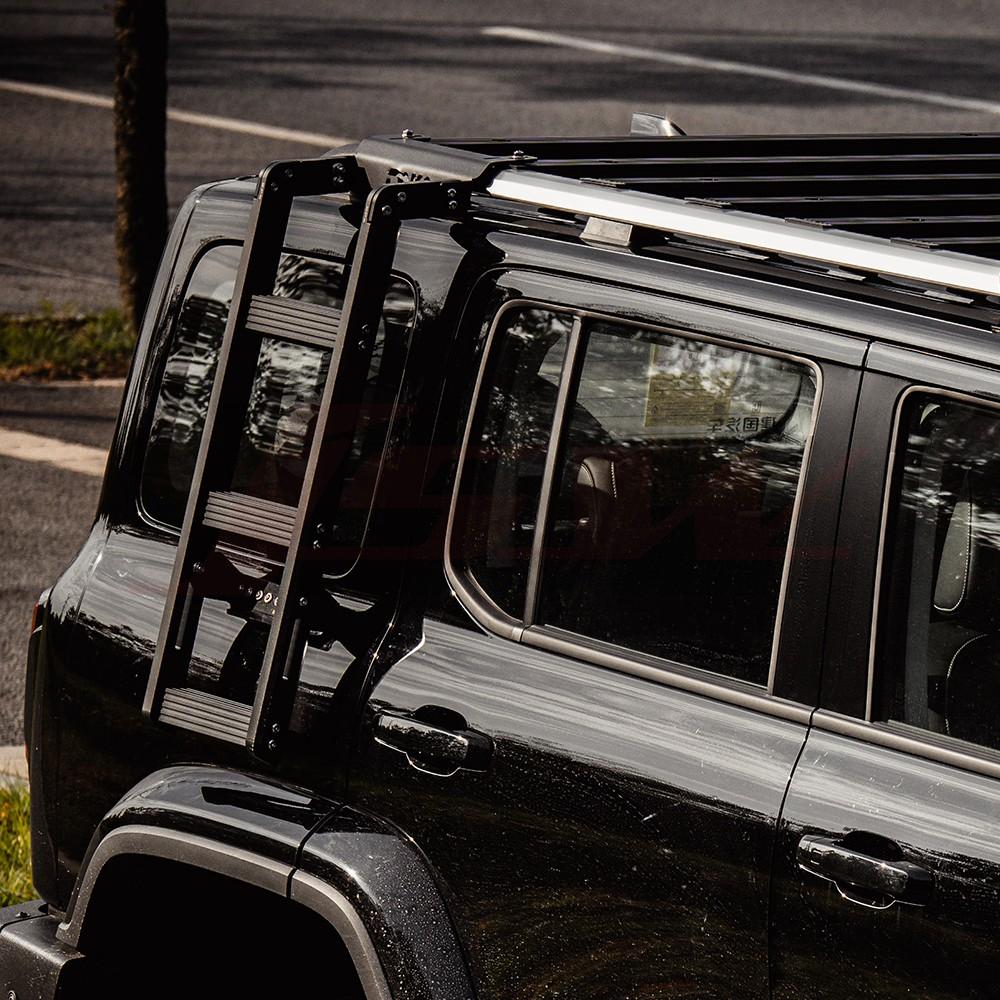 Sentinel roof rack&side ladder