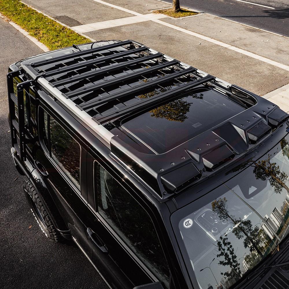 Sentinel roof rack&side ladder