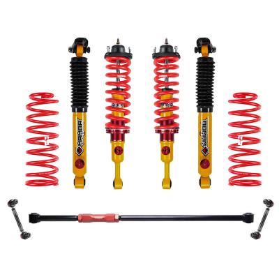 MAMBA OIL SUSPENSION KIT
